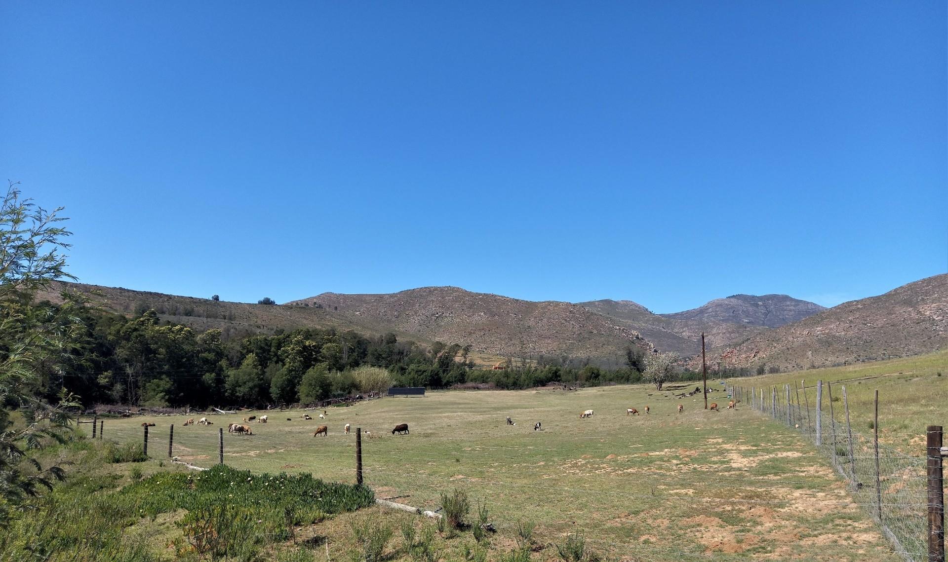 Commercial Property for Sale in Uniondale Rural Western Cape